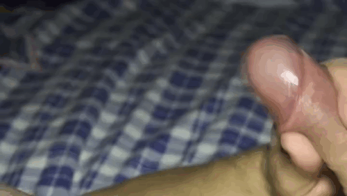 The Cumshot Gifs Collection